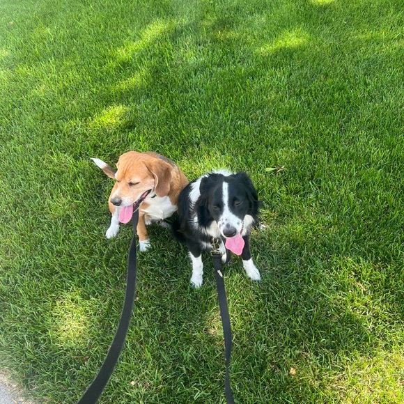 Meet your Posher, Kels - Picture 2 of 3